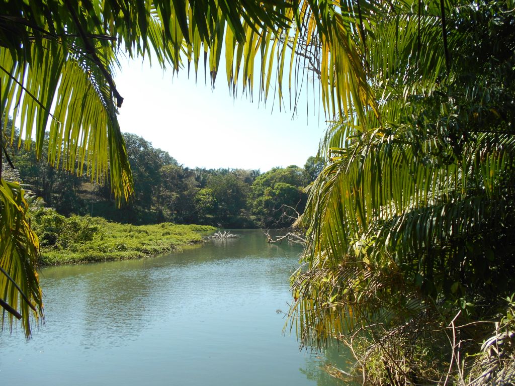 Laguna