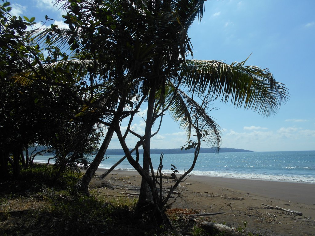 Playa