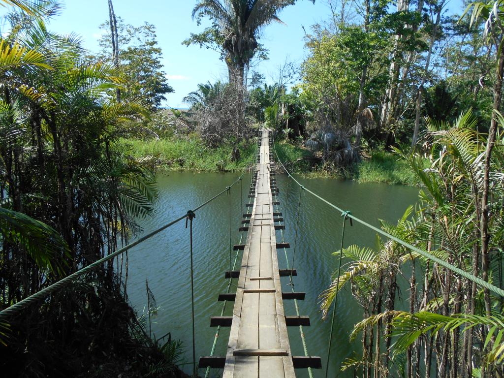 Puente de hamacas