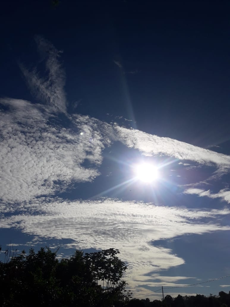 IMG-20190627-WA0007