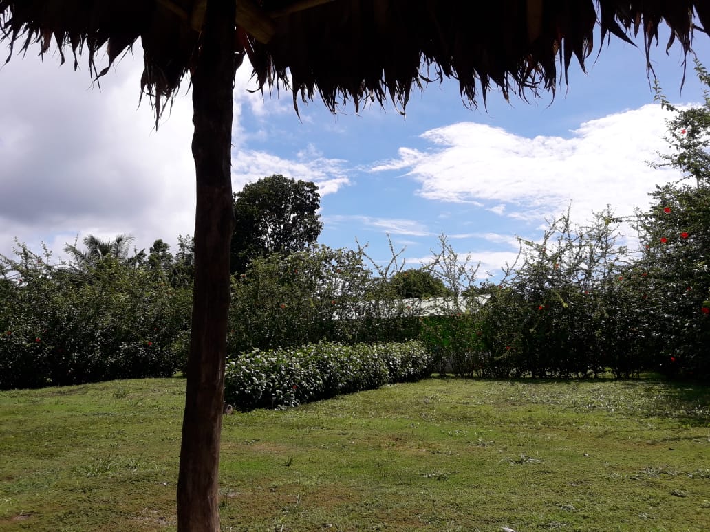 IMG-20190627-WA0008