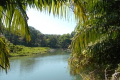 Laguna