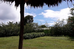 IMG-20190627-WA0008