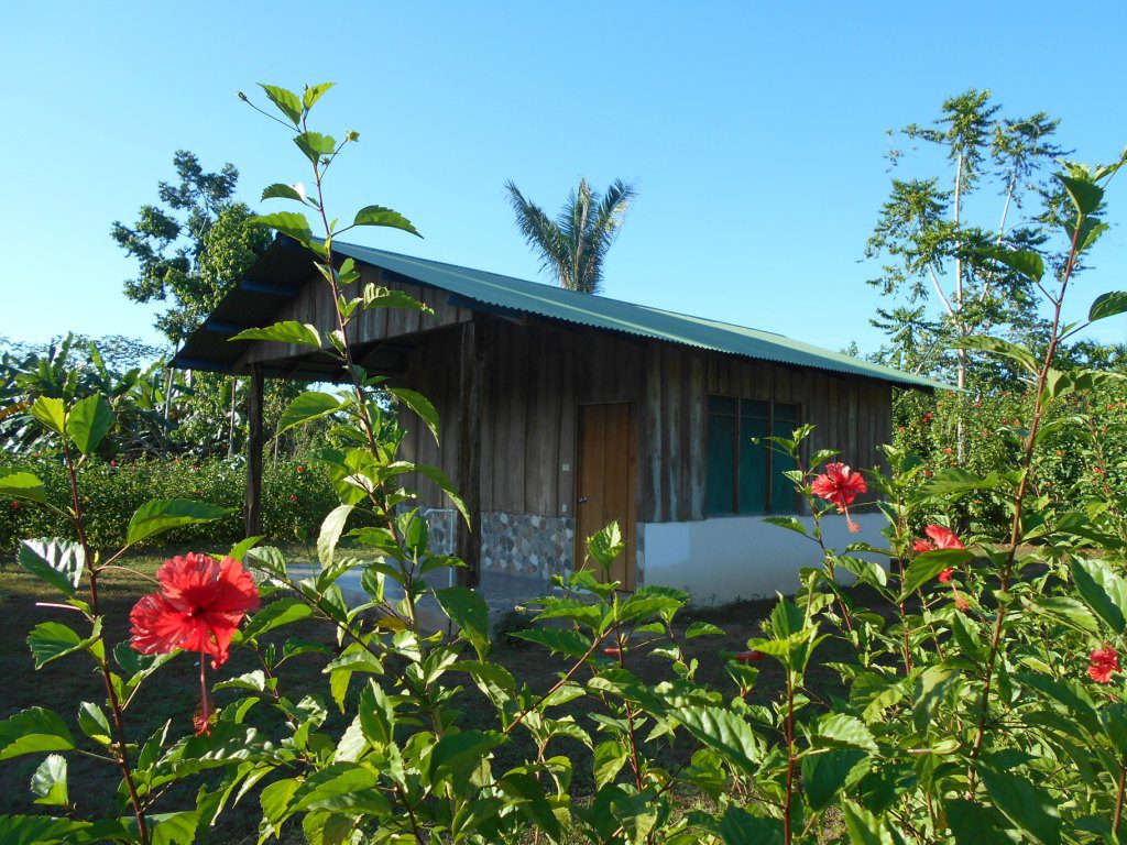 cabana4